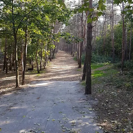 Perla Poludnia Hryniewieckiego 7c *