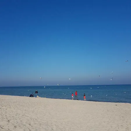 Perla Poludnia Hryniewieckiego 7c *