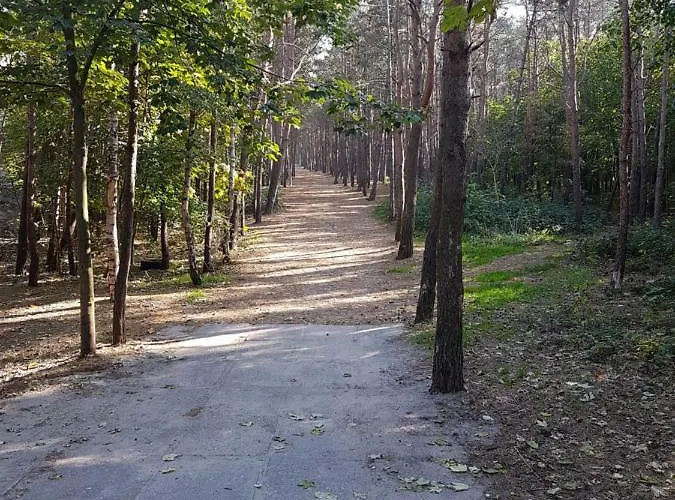 Perla Poludnia Hryniewieckiego 7c *